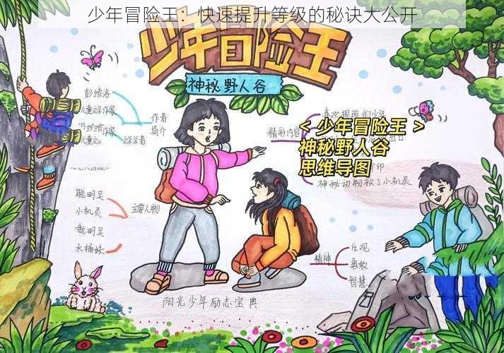 少年冒险王：快速提升等级的秘诀大公开